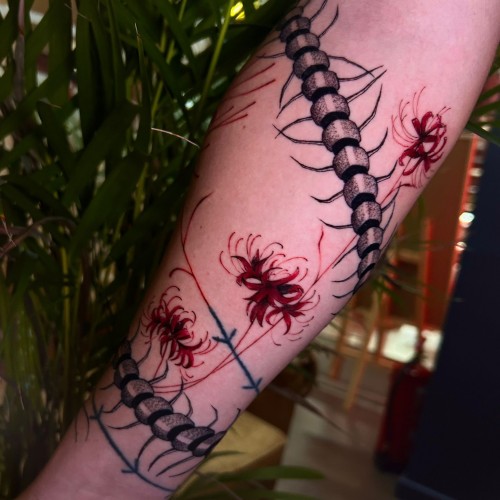 PHOTO-2025-12-26-19-19-30 (4)